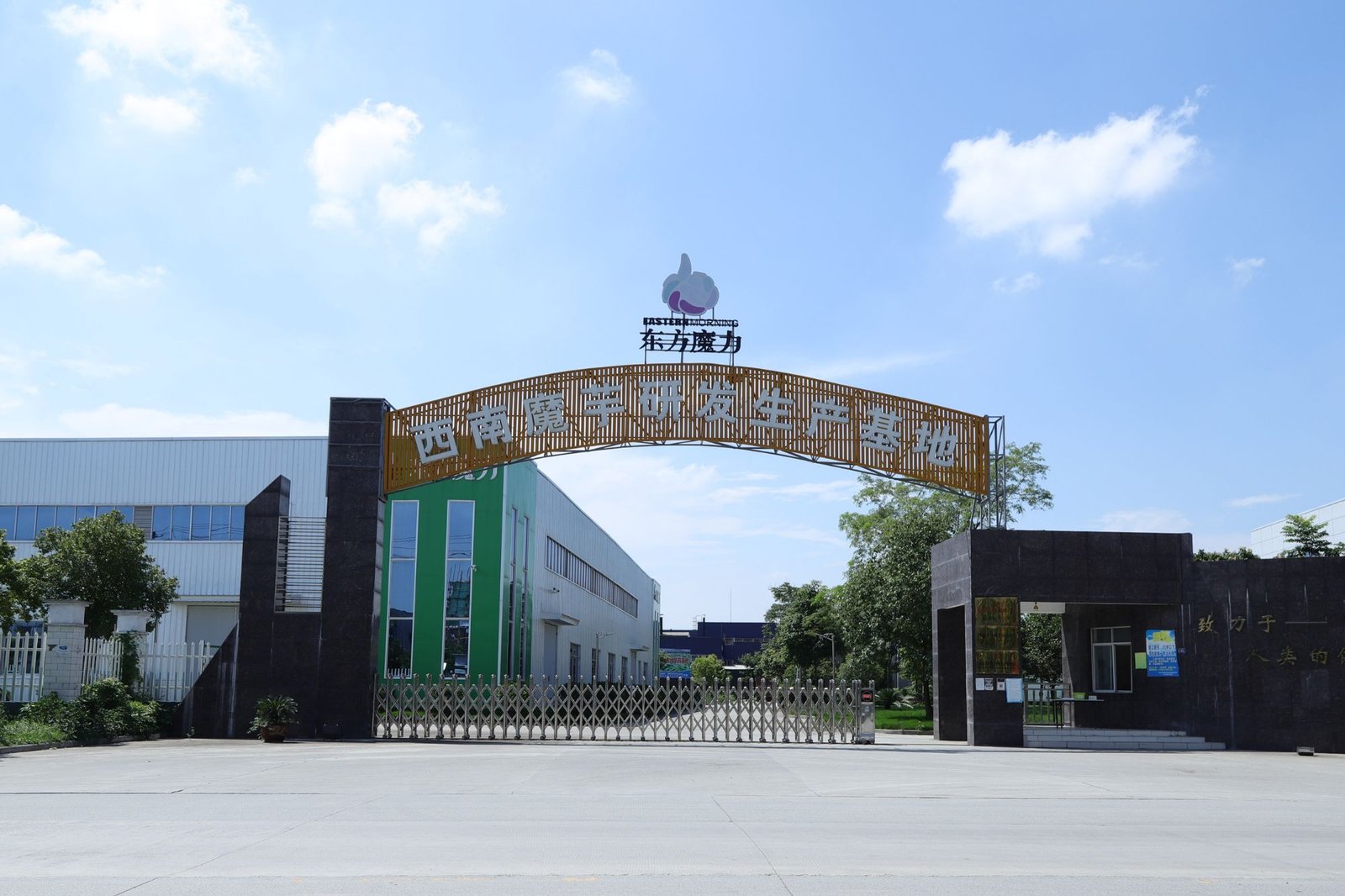 China’s top konjac-growing regions