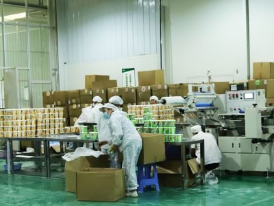 instant konjac noodles supplier