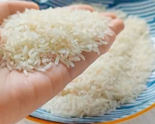 regular rice texture konjac rice
